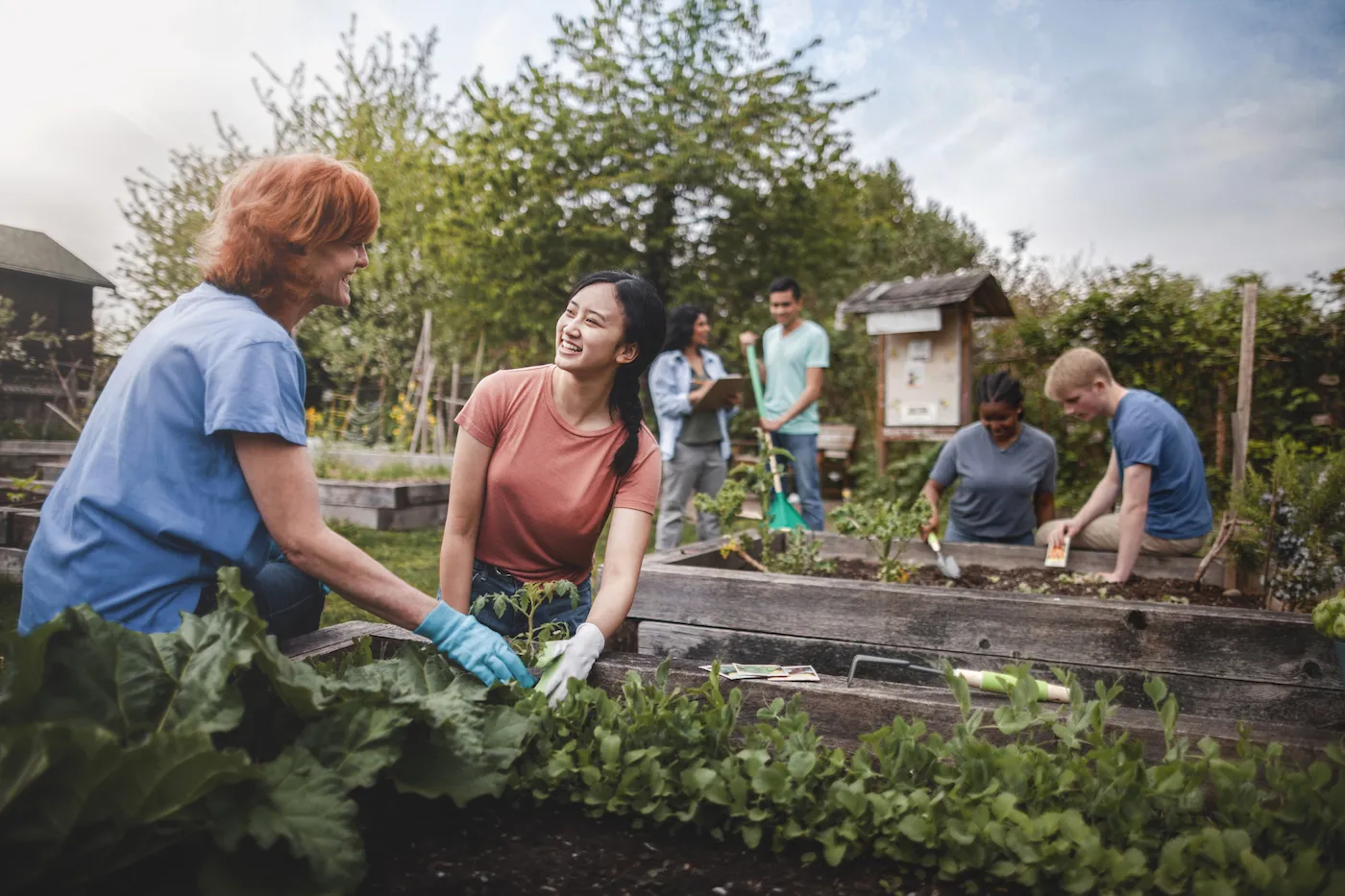 Community garden with gardeners