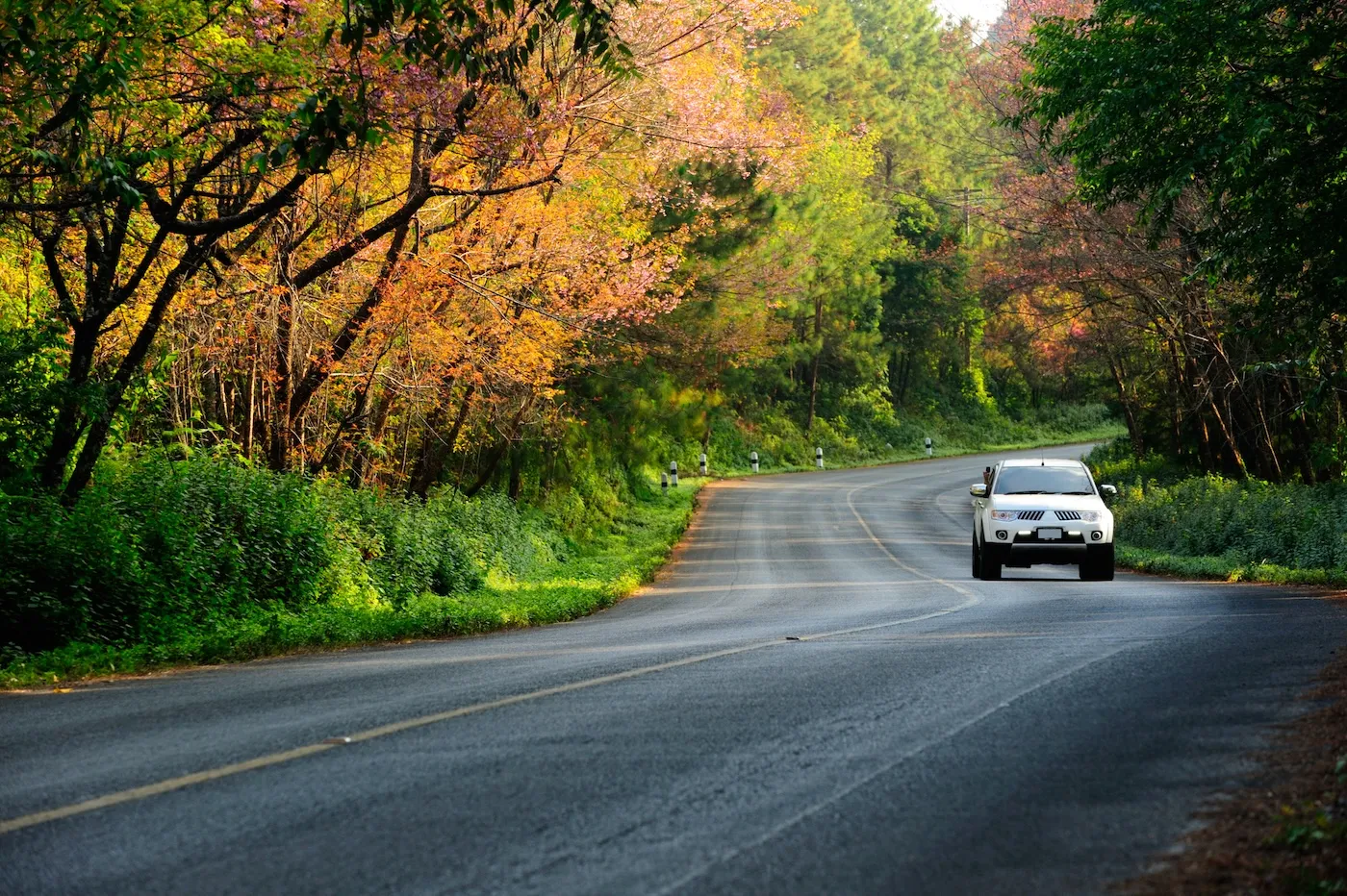 A car driving on the road in the woods.