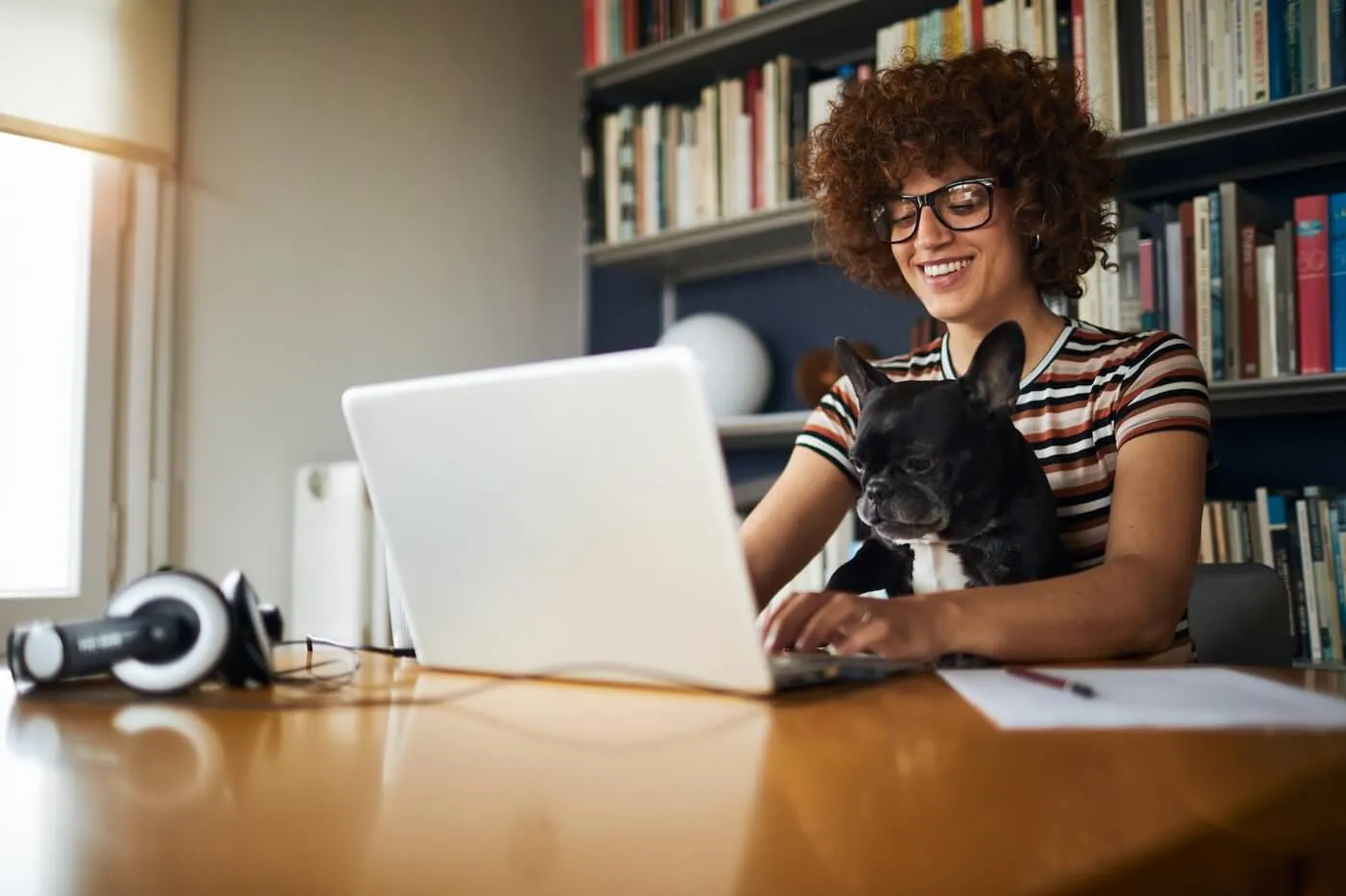 Smiling young woman is working from home on her laptop with a French bulldog on her laps