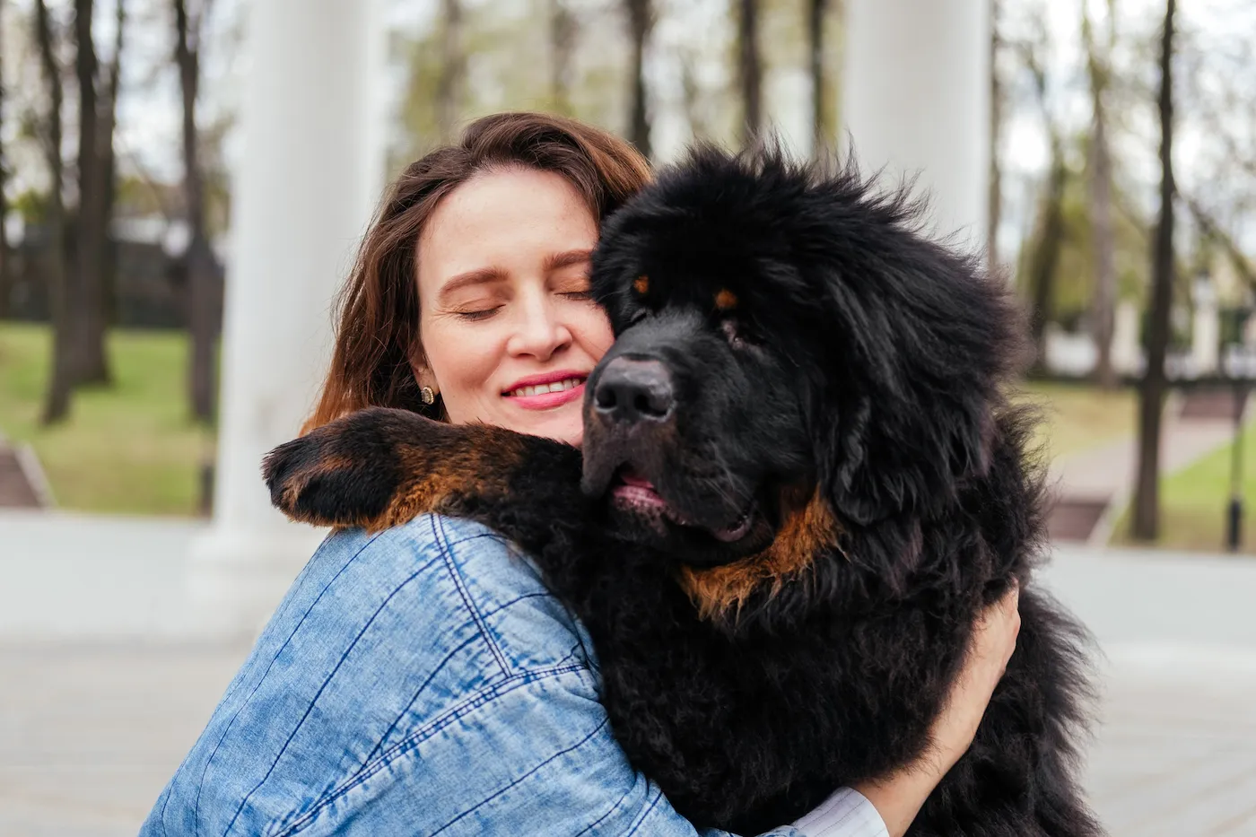 Woman hugging large black Tibetan mastiff dog outdoors.