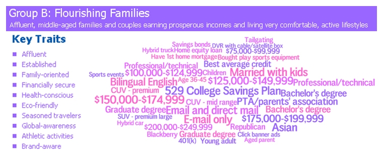 Traits of Mosaic group Flourishing Families Black Friday shoppers