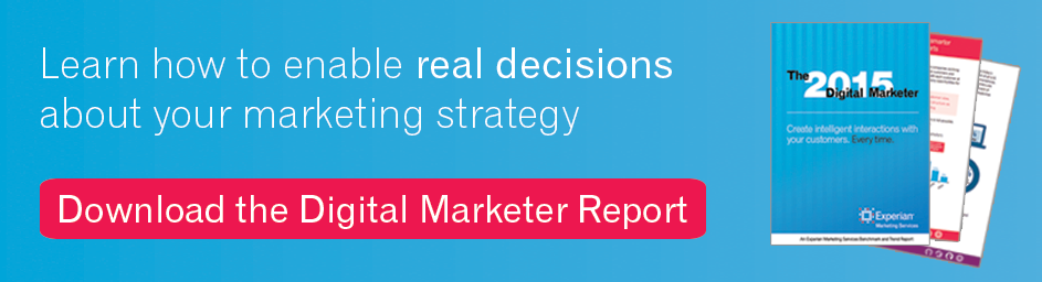 Download The 2015 Digital Marketer Report