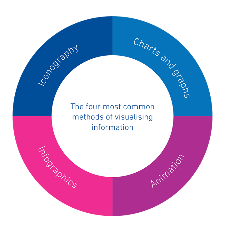 Experian pie chart highlighting charts and graphs, animation, infographics and iconography