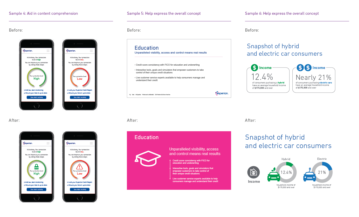 Experian branded iconography showing how adding icons can help the reader better understand information