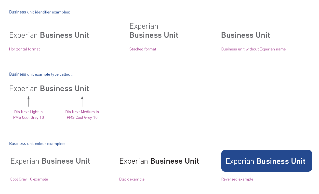 Experian business unit displayed in various formats