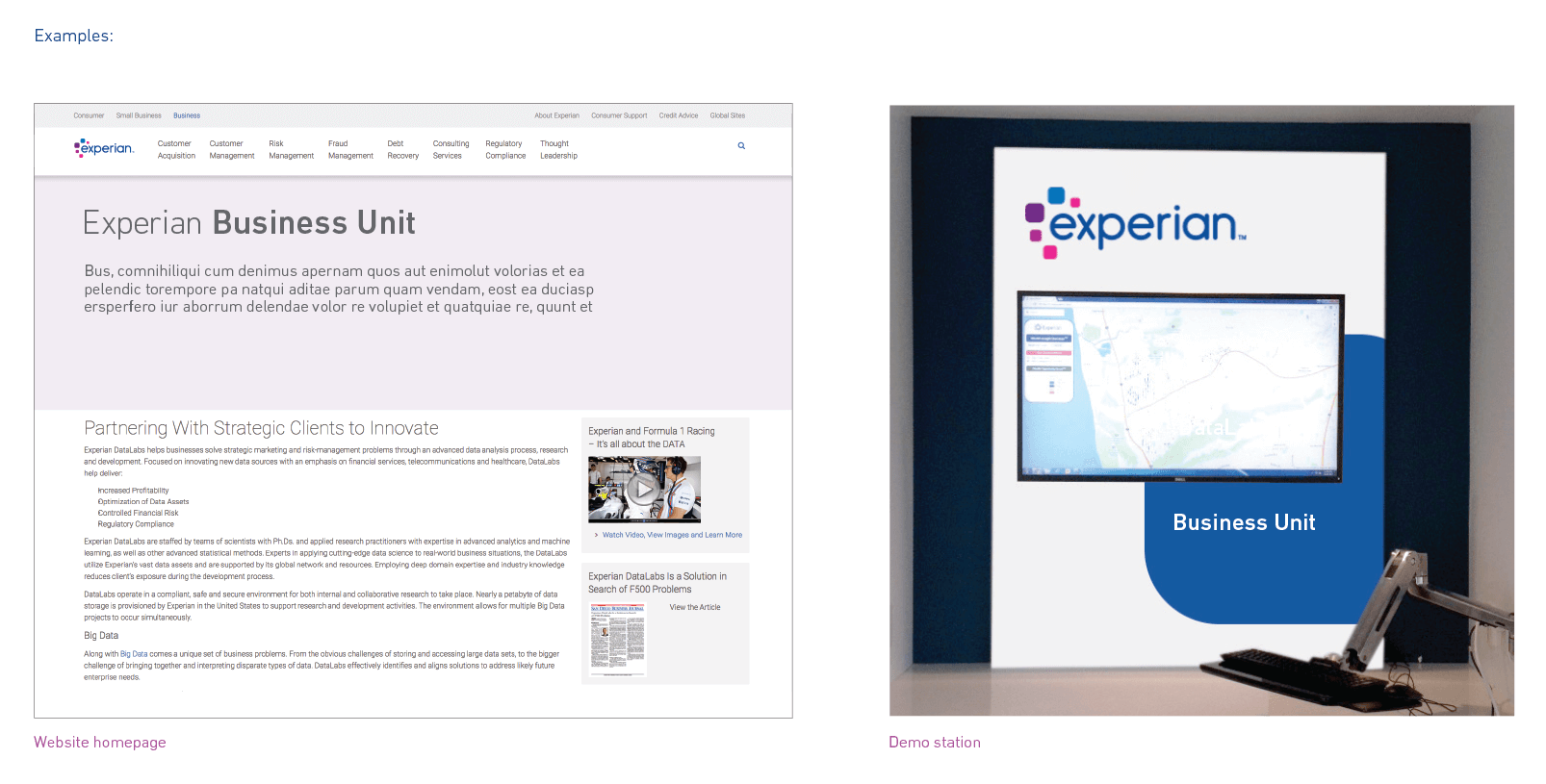 Experian business unit displayed across website home page and a demo station