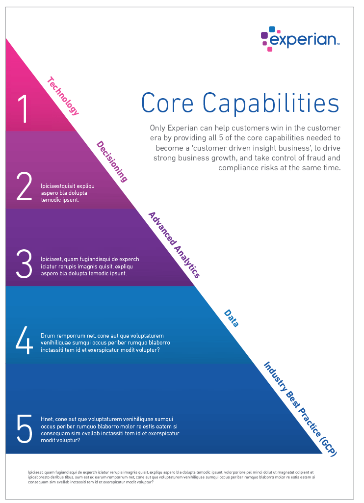 Experian branded heirarchical infographic shown to provide a quick visual reference of information importance