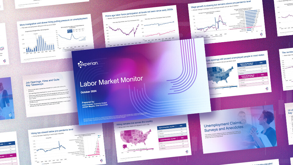 Labor Market Monitor October 2024