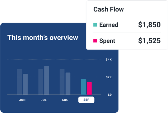 Graphic screen overview cash flow.